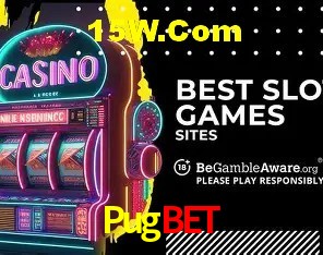 Security Systems Pugbet
